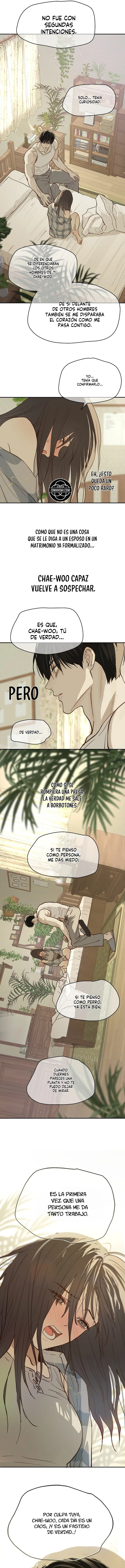 Las Flores Son Cebo Capítulo 52 - Página 8