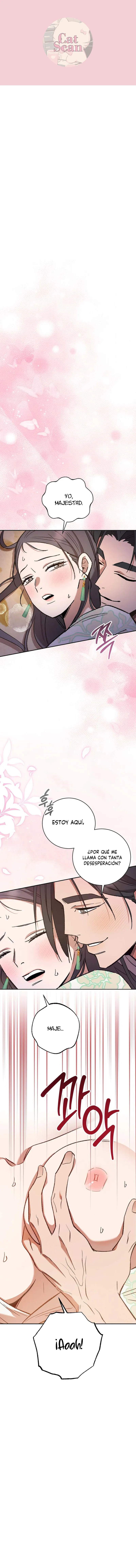 Devoción Absoluta Capítulo 13 - Página 1