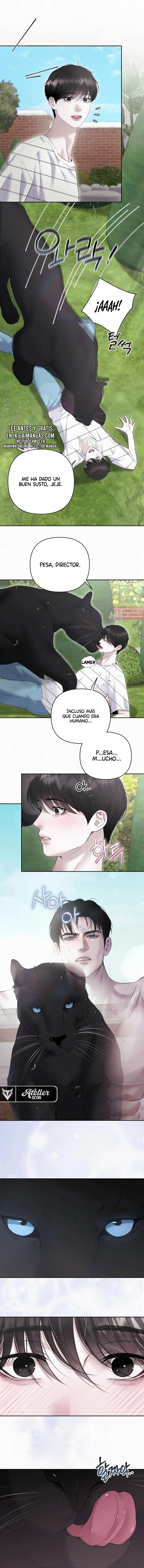 Polvo de diamante Capítulo 27.6 - Página 8