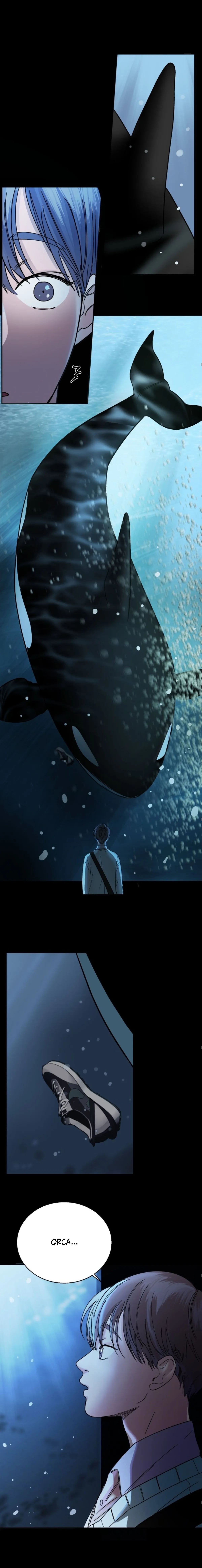 Método de caza de orcas Capítulo 1 - Página 17