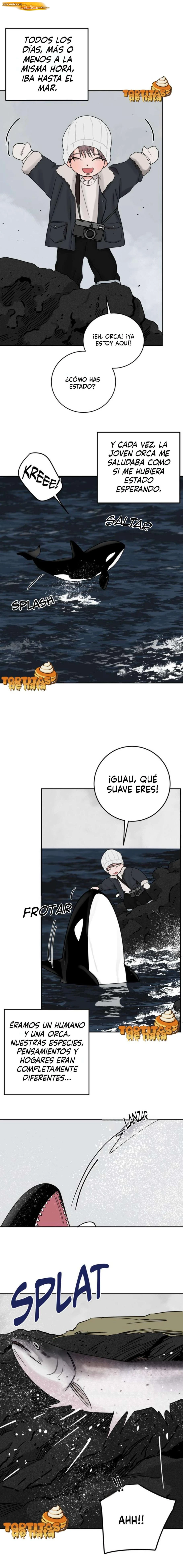 Método de caza de orcas Capítulo 29 - Página 9