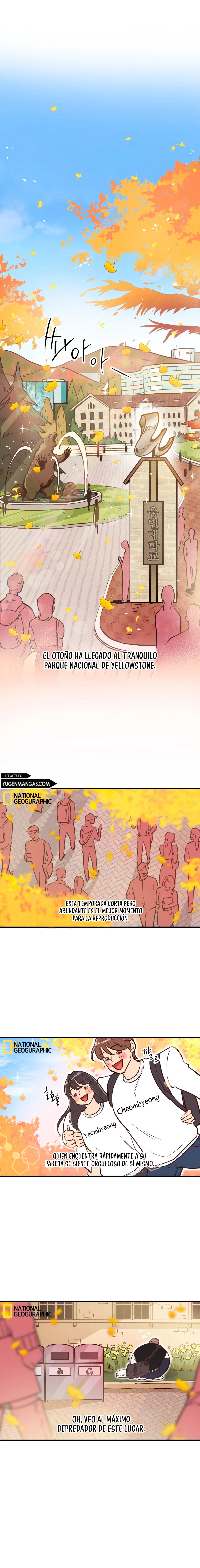 Osito De Miel Capítulo 31 - Página 1