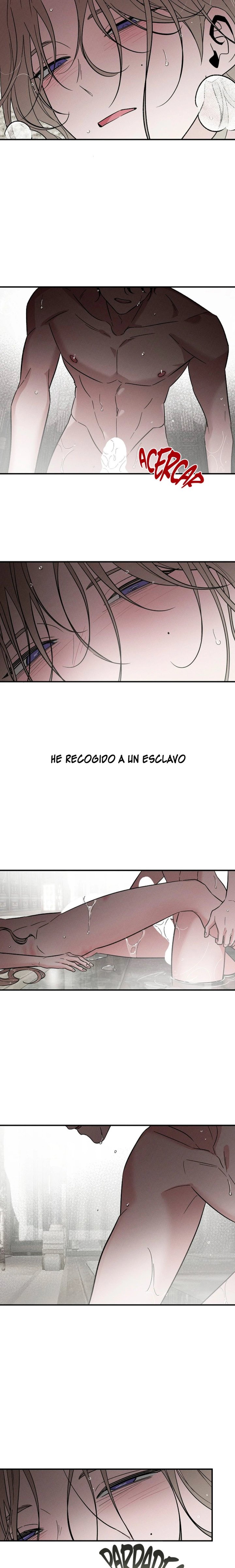Dueño de esclavos del otro mundo (omegaverse) Capítulo 36 - Página 13