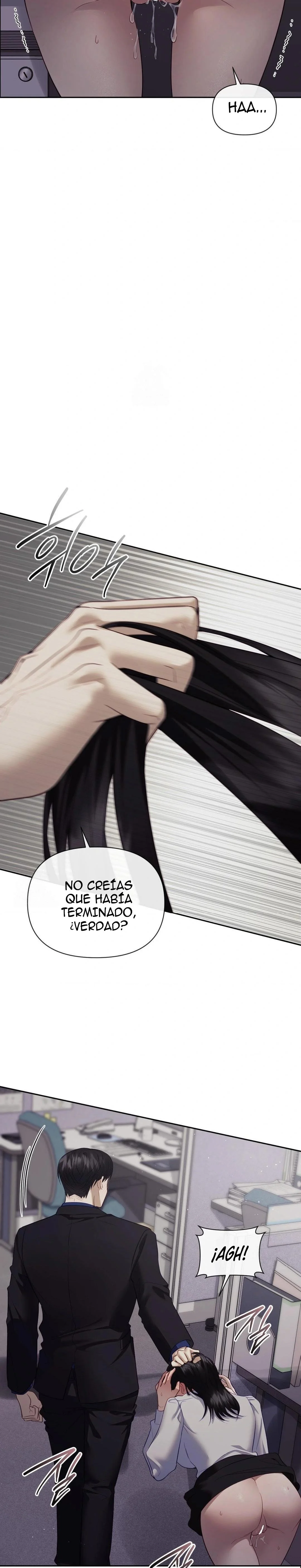 Asistente en jefe Capítulo 40 - Página 15