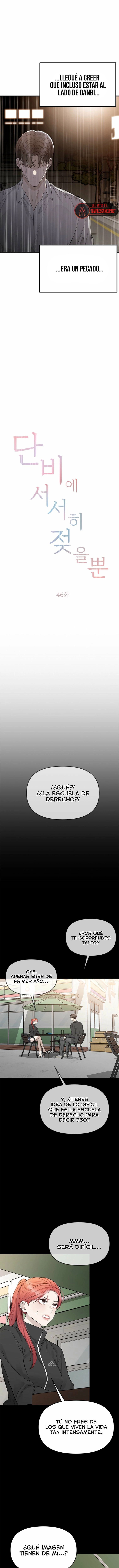 Empapandose Lentamente En La Dulce Lluvia Capítulo 46 - Página 5