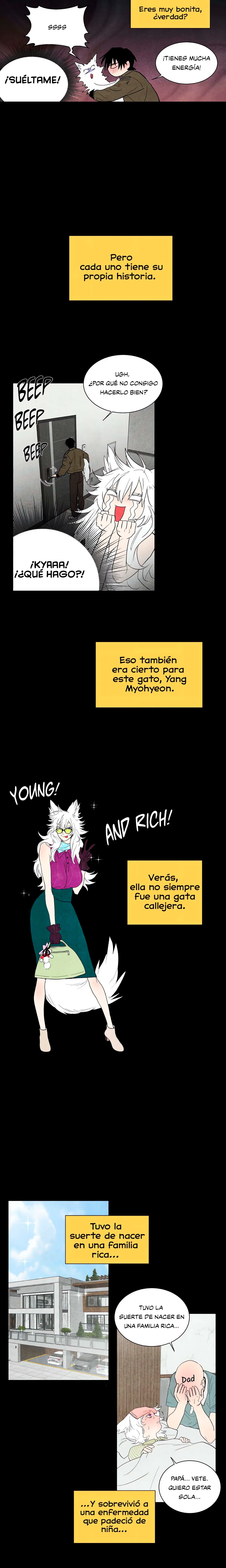 Házme ronronear Capítulo 1 - Página 6