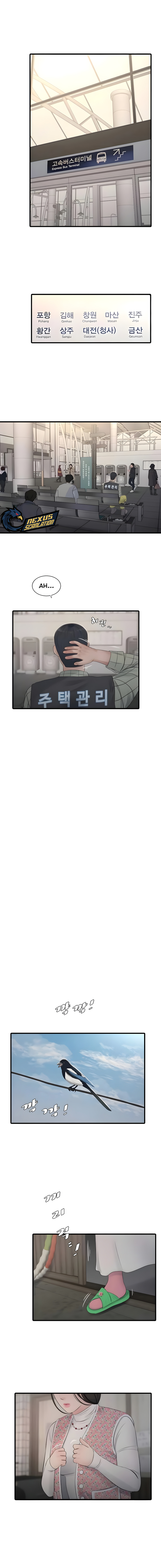 Diario de inspección de ajummas Capítulo 116 - Página 7