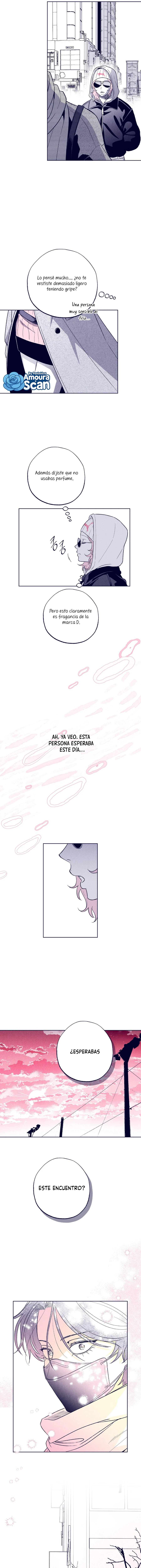 La estrella de al lado que me hechizó Capítulo 13 - Página 16