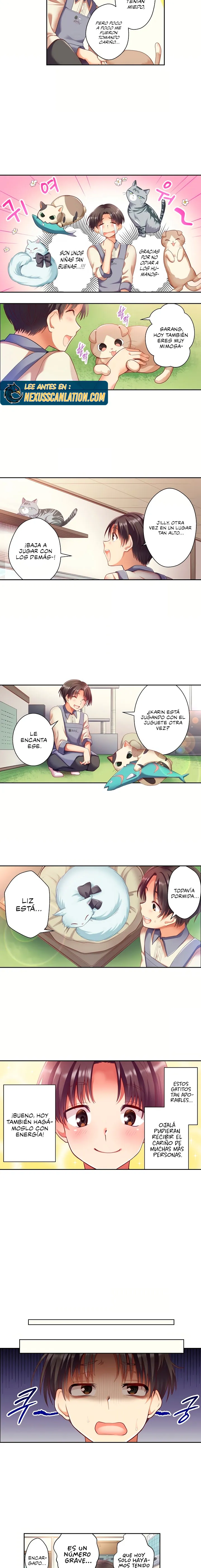 Café de gatos! Quiero estar contigo cariño Capítulo 1 - Página 3