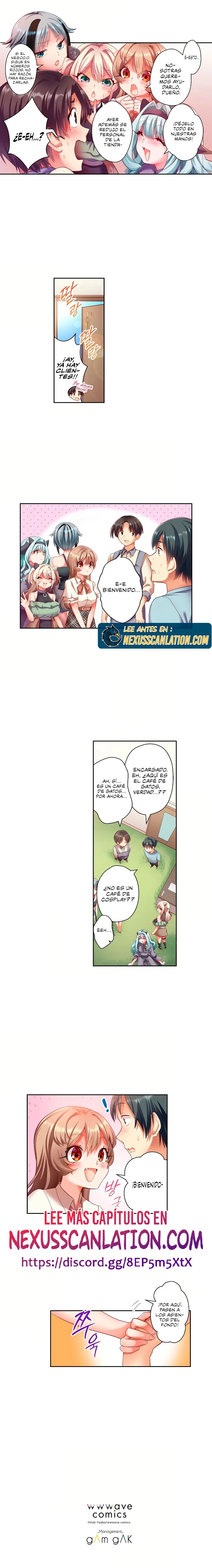 Café de gatos! Quiero estar contigo cariño Capítulo 1 - Página 7