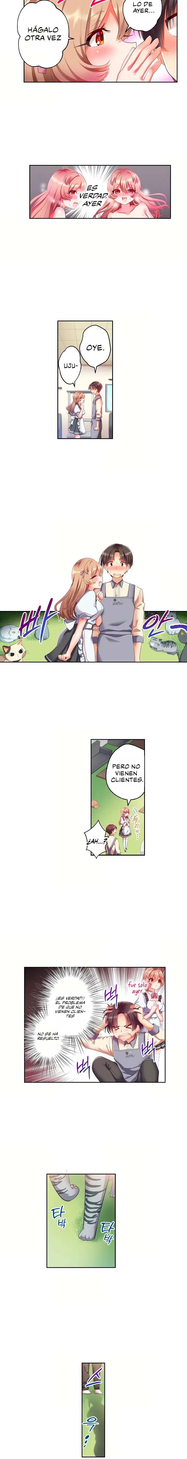 Café de gatos! Quiero estar contigo cariño Capítulo 5 - Página 2