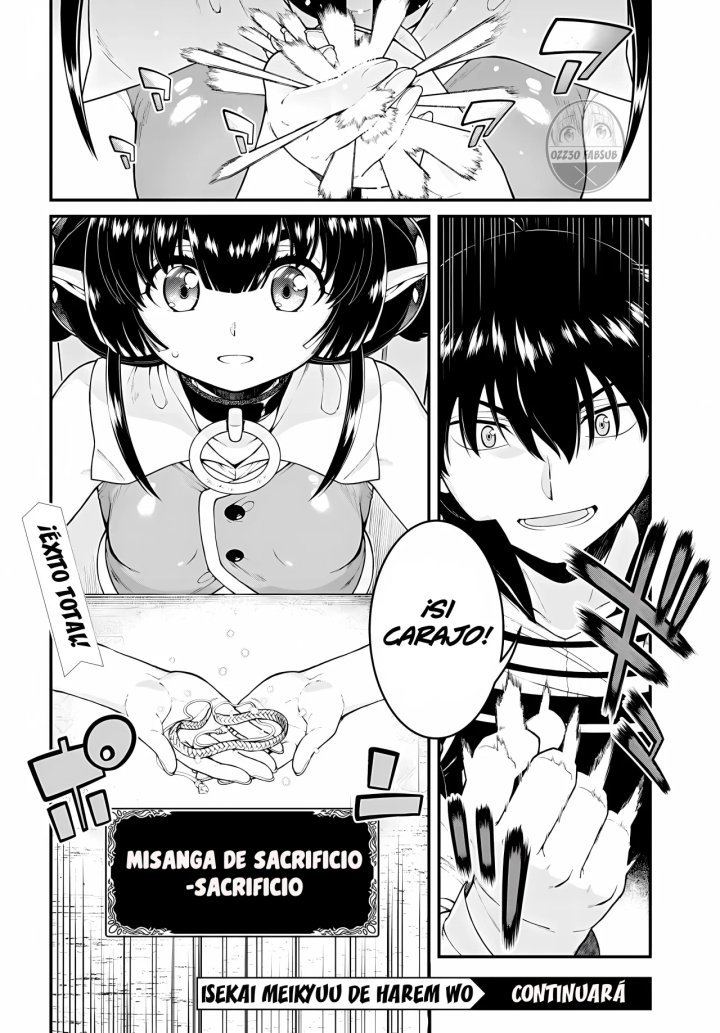 Isekai Meikyuu de Dorei Harem wo Capítulo 24.1 - Página 17